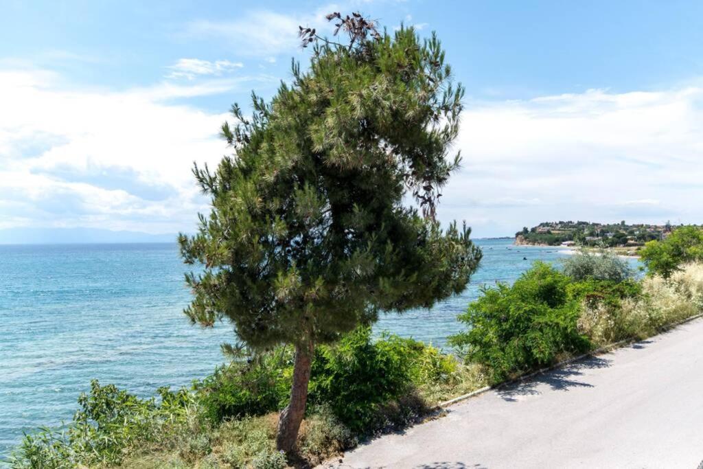 Seafront 2 Bedrooms Apartment ネア・イラクリア エクステリア 写真